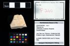 Foto (Objekt + Etikett) von Pithonoton sp.  (NHMW-GEO-2014-0194-0240)